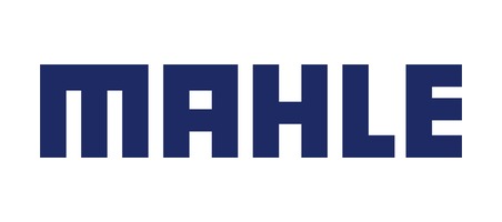 MAHLE MAHLE